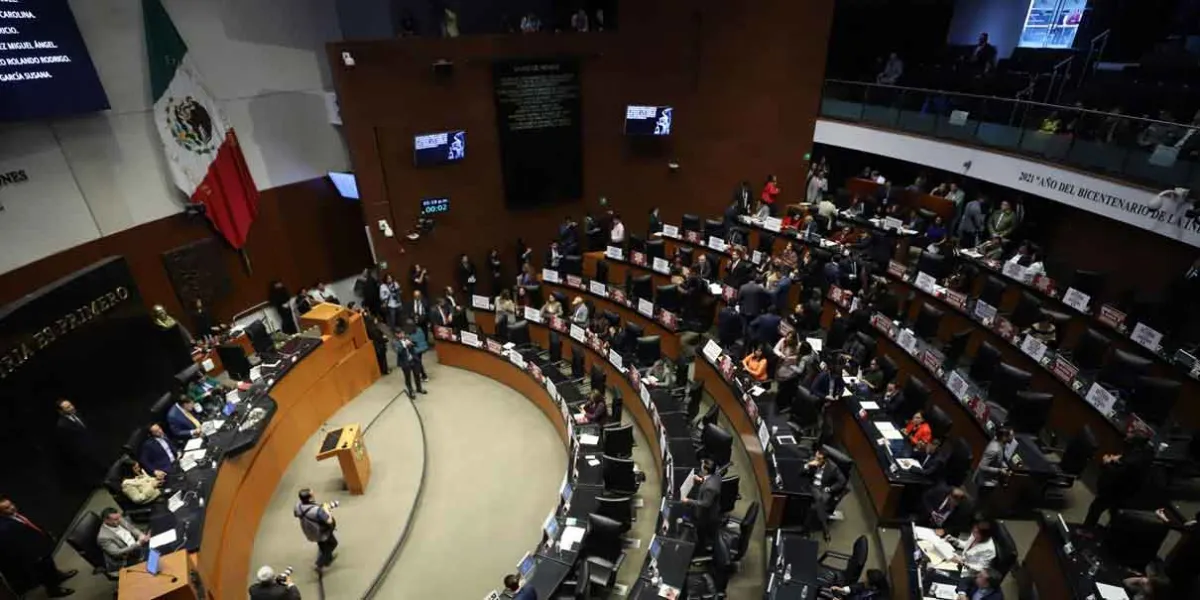 Errores en el listado electoral del Senado generan incertidumbre para la Elección Judicial 2024-2025