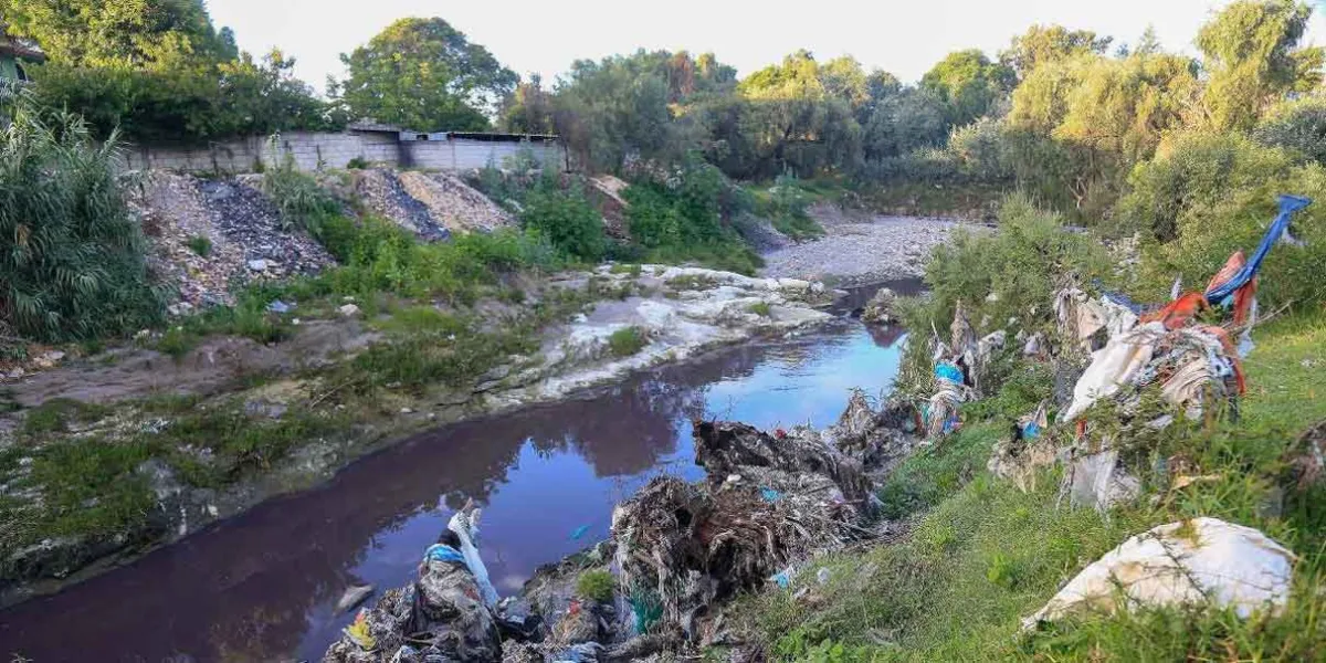 Muerte y enfermedades deja el putrefacto Río Atoyac