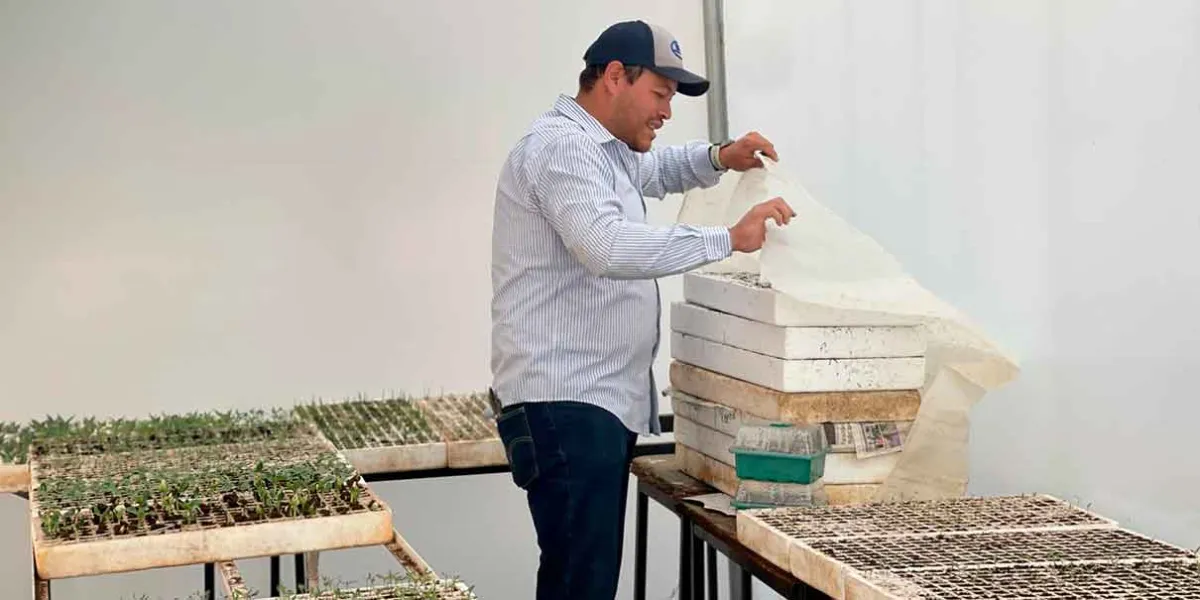 Tecnológico Nacional de México en Ciudad Serdán impulsa técnicas innovadoras de cultivo