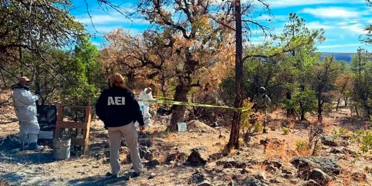 Concluyen inspecciones forenses en “El Willy”; hallan 81 cuerpos en fosas clandestinas