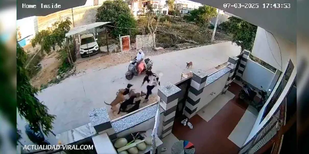 VIDEO  Joven adolescente es atacada por jauría de perros. Mujer en moto la rescata
