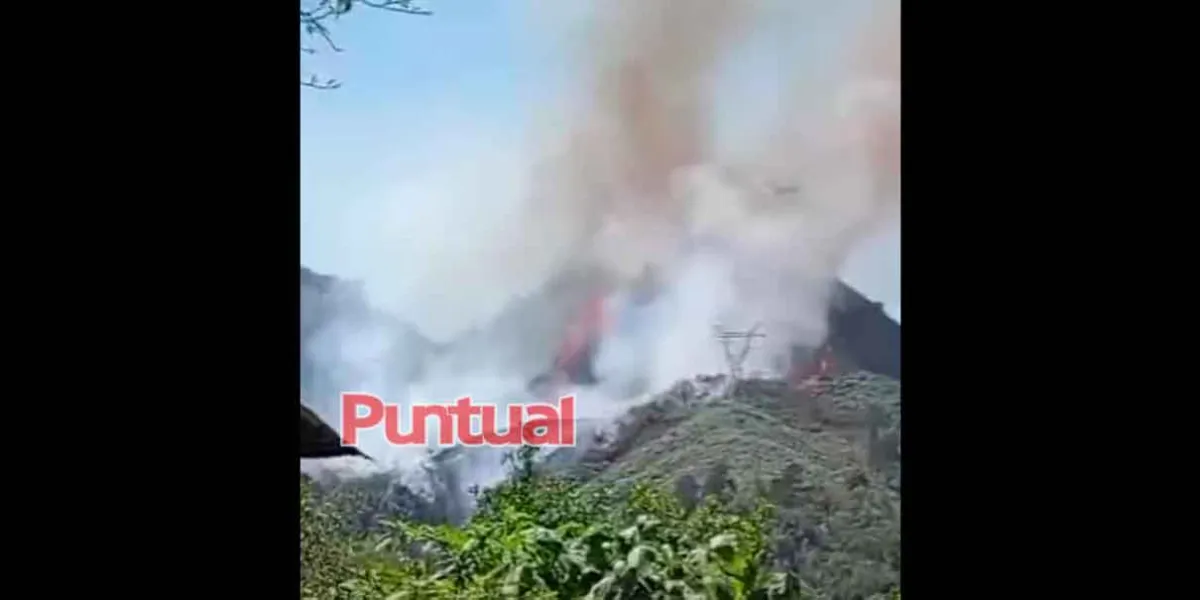 Incendio forestal arrasa el Cerro Tezonquipa en Chiconcuautla