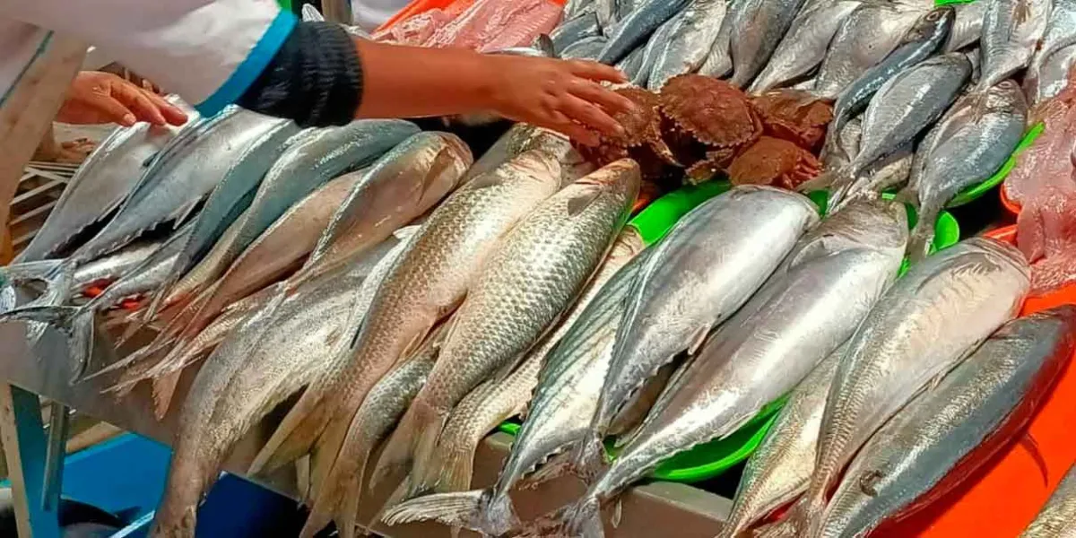 Con el Miércoles de Ceniza inició la venta de pescado y marisco en Serdán 