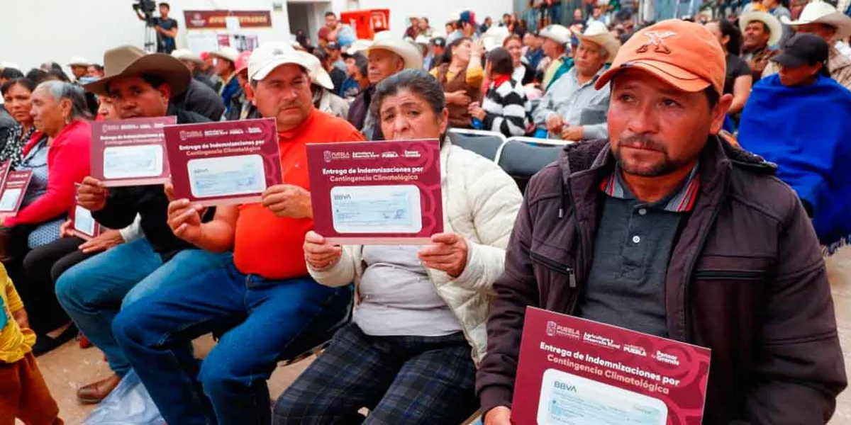 Con sensibilidad y justicia social, Gobierno apoya a productores afectados por heladas