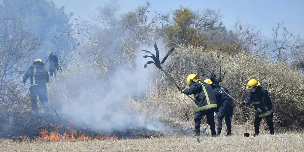 Puebla en llamas: Libres y Tlachichuca, los municipios más afectados por incendios forestales