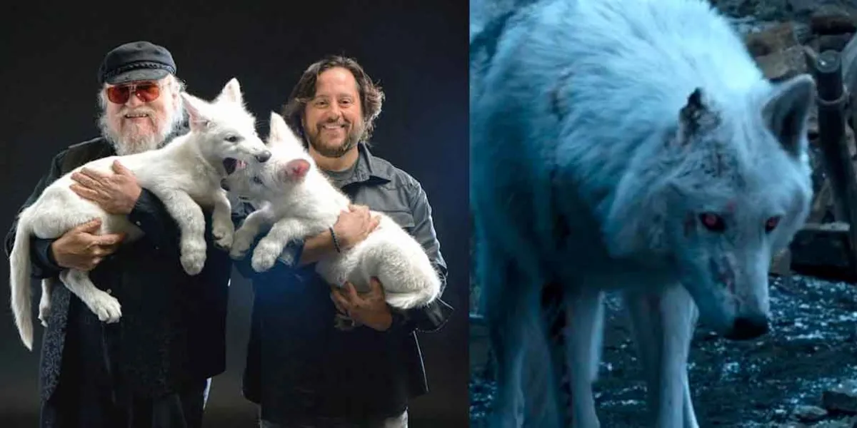 ¿Volvieron los lobos terribles? La verdad detrás de Rómulo, Remo y Khaleesi