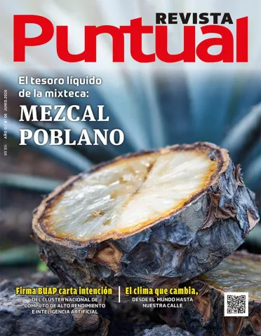 Revista Puntual - Junio - 2026