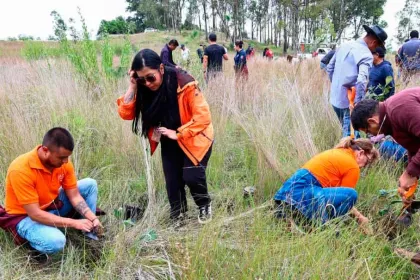 Mantiene Tonantzin Fernández reforestaciones constantes en el Cerro Zapotecas