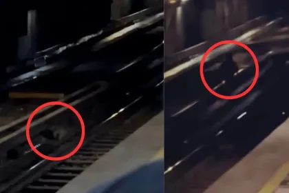  Graban extraña criatura en las vías del metro de la CDMX y desatan debate por presunto nahual