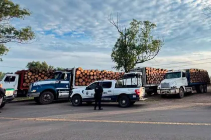 Cinco camiones abandonados destapan cargamento de madera en Morelia