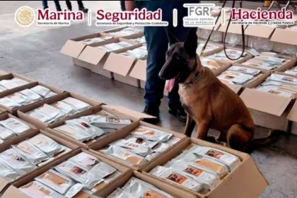 Detectan café contaminado con presunta cocaína durante revisión de Aduanas 