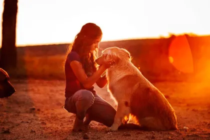 Permiso por muerte de mascota: proponen tres días con sueldo