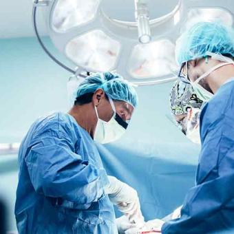 Cirujanos logran éxito en trasplante de riñón de cerdo a un humano