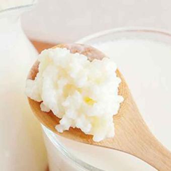 Kéfir: El alimento fermentado que está revolucionando la salud intestinal