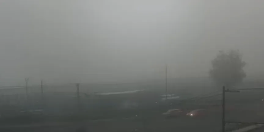 Neblina