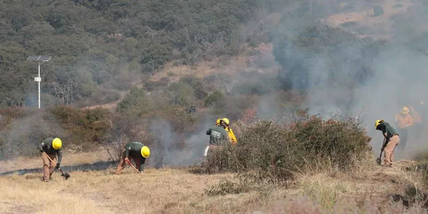 Controlan cuatro incendios forestales en Puebla al inicio de 2026