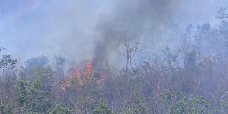Puebla más preparada contra incendios forestales; en 2025 hubo 304 en 75 municipios