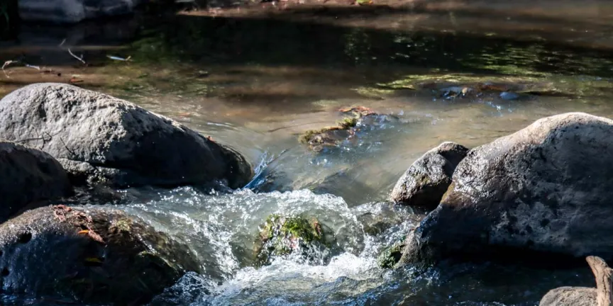 Casi dos mil descargas ilegales causó la muerte del Río Atoyac; autoridades emitieron reporte