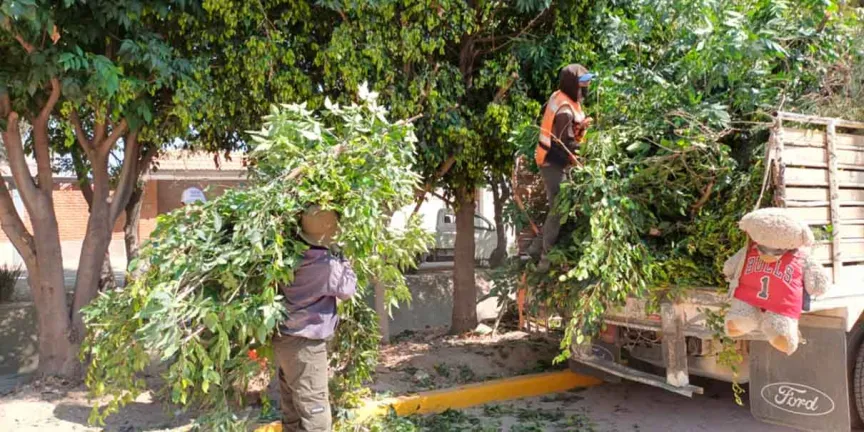 Con participación ciudadana, Tonantzin Fernández impulsa faena en Momoxpan
