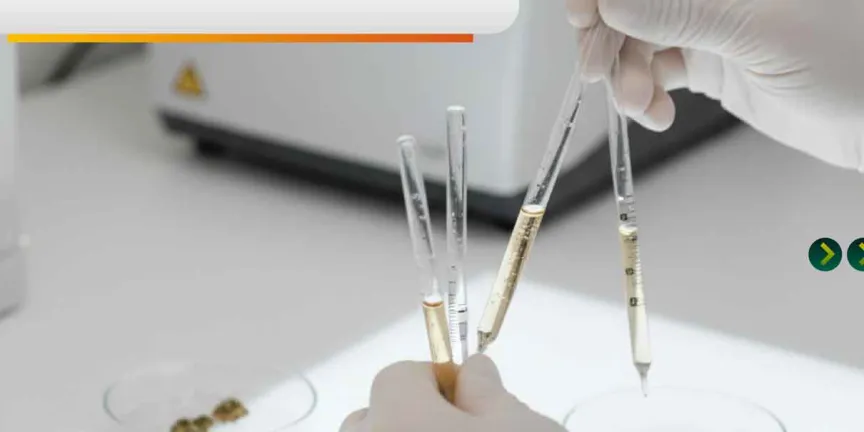 Estudian en la BUAP cannabinoides para tratamiento de epilepsia