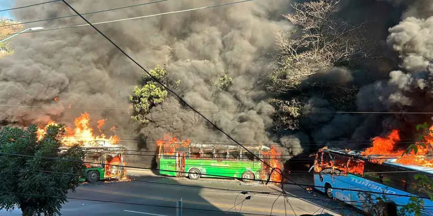 Paz, exigimos los mexicanos