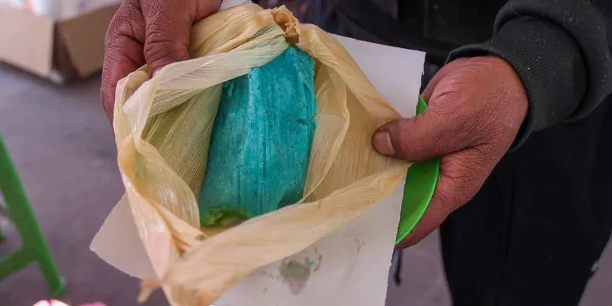 Tamales con fentanilo en la mira de Sheinbaum