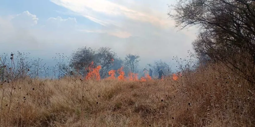 Fuego consumió 20 hectáreas del cerro Totolquemec, en Texmelucan