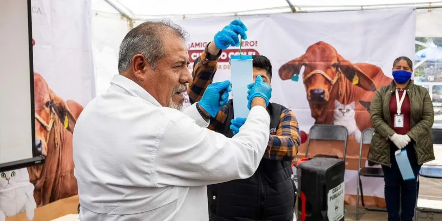 Gobierno de Puebla intensifica vigilancia contra gusano barrenador