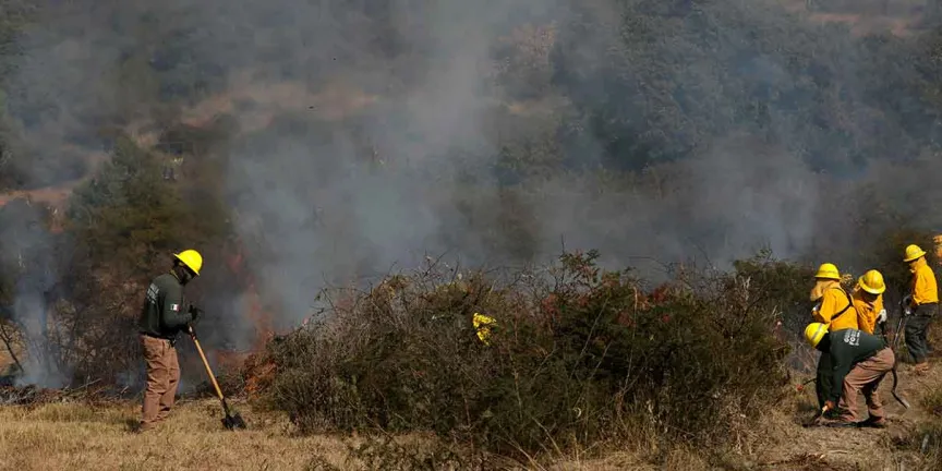 Puebla registra alza de 44% en incendios forestales y más de 2 mil hectáreas dañadas