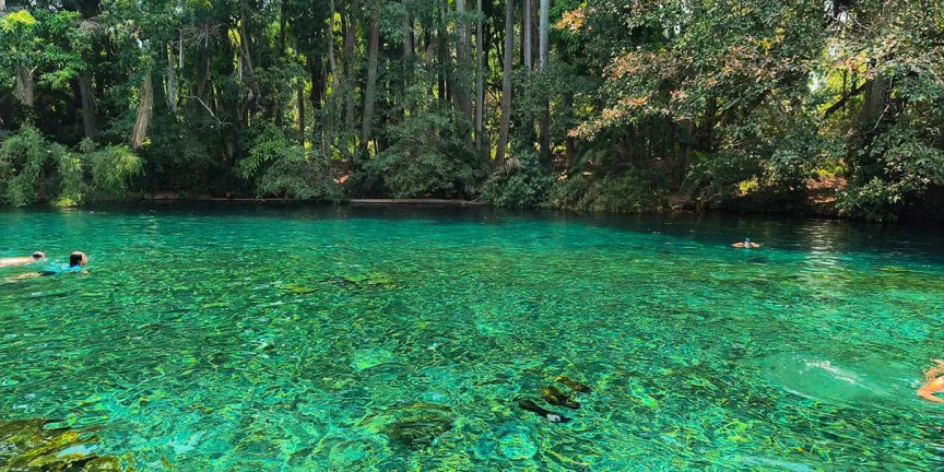 ¿Buscas un río limpio? Las Estacas en Morelos es el destino perfecto para nadar
