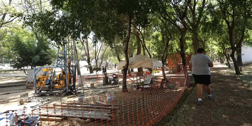 PRI promete no abandonar la defensa de árboles afectados por obra del Cablebús