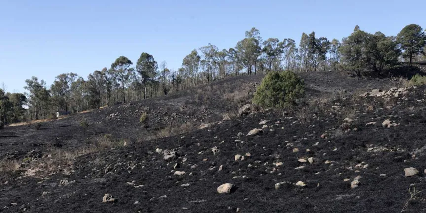 Puebla escaló al quinto lugar nacional en daños por incendios forestales