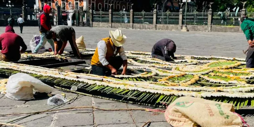 La Puerta del Perdón de Catedral lucirá monumental adorno tradicional 