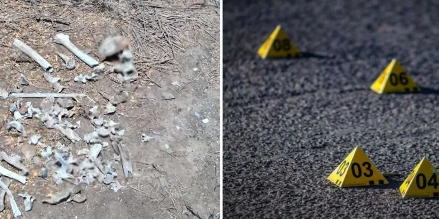 Hallan en Reynosa ocho cráneos y restos calcinados; colectivo denuncia posible zona de exterminio