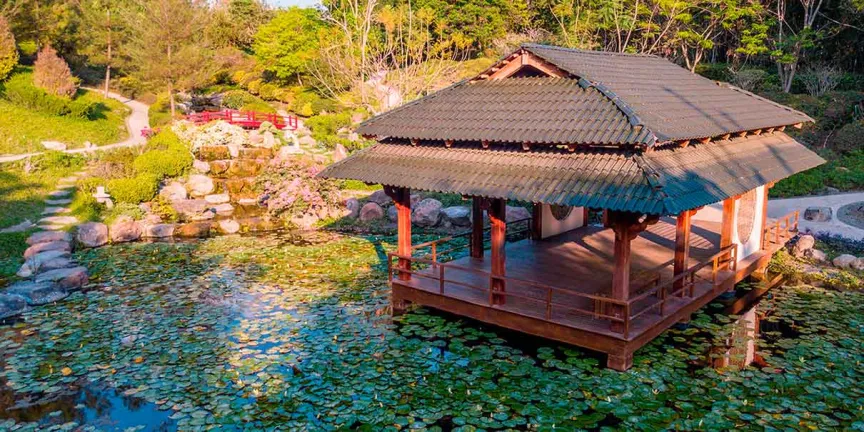 Jardines de México en Morelos: la guía definitiva para visitar el jardín floral más grande del mundo