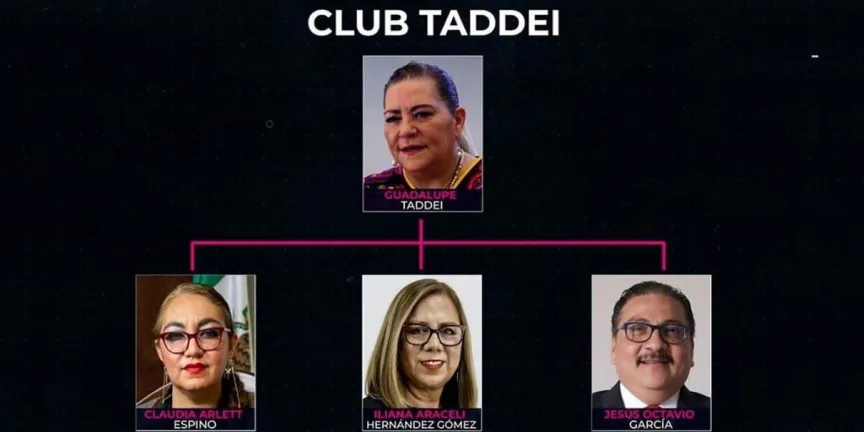 Acusan red de favores y contratos millonarios en el INE bajo gestión de Taddei