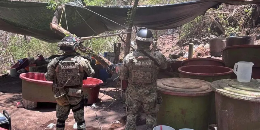 Desmantelan cinco narcolaboratorios en tres estados clave del narcotráfico: Jalisco, Nayarit y Sinaloa