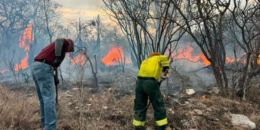 Gobierno del Estado continúa combate de incendio en la Mixteca