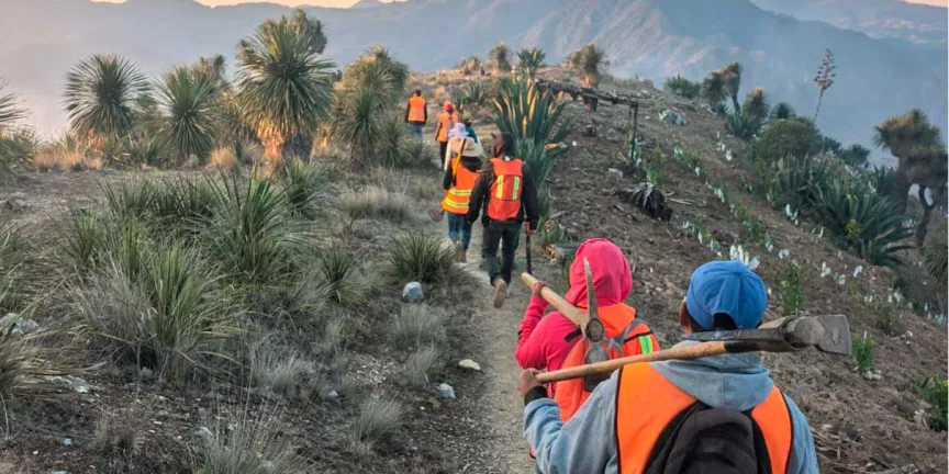 250 brigadistas combaten incendio forestal en Zautla