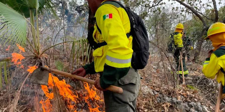 Logran autoridades sofocar incendio en Cerro Tecaballo en Cohetzala