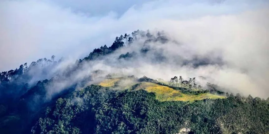 San José del Pacífico, Oaxaca: el destino místico entre montañas que redefine el turismo en México