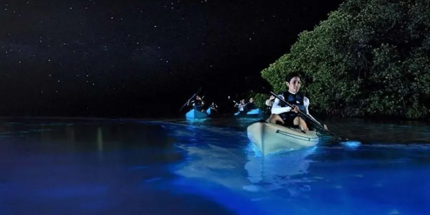 ¿Agua que brilla? Así es la increíble Laguna de Manialtepec en Oaxaca