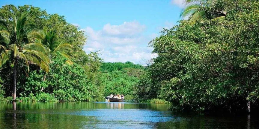 La Ventanilla Oaxaca: manglares, cocodrilos y ecoturismo en un destino único