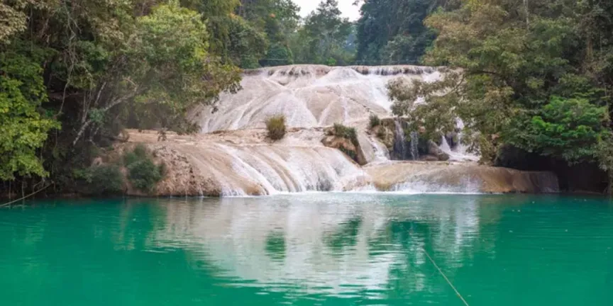 Cascadas Roberto Barrios, Chiapas: la joya escondida de la selva que conquista con sus aguas cristalinas
