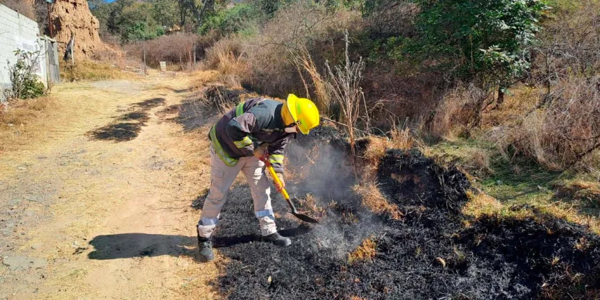 196 incendios han dañado 6 mil 16 hectáreas arboladas en Puebla