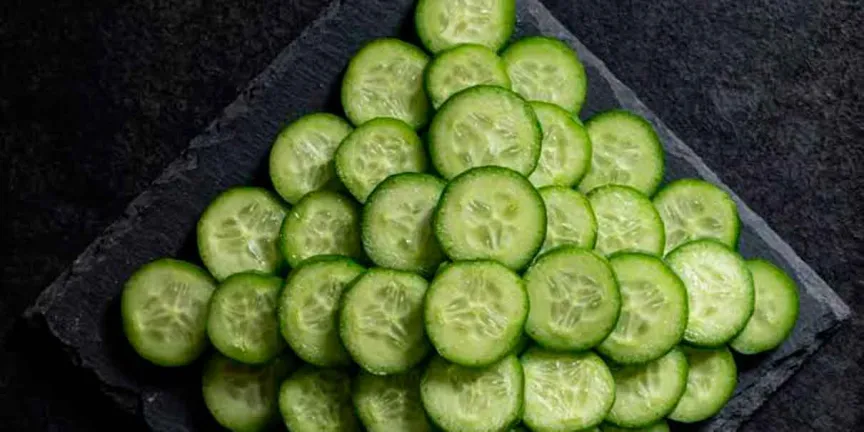 ¿Qué tan saludables son los pepinos? Descubre sus beneficios y por qué deberías incluirlos en tu alimentación