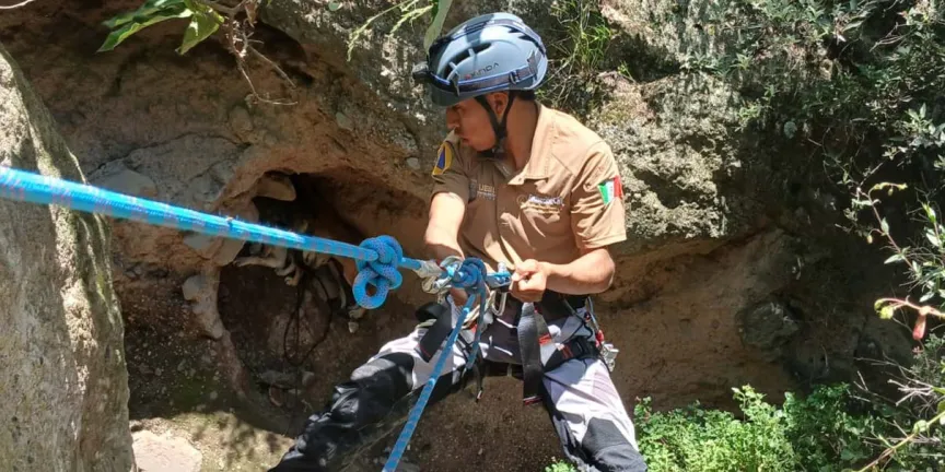 Salvan a cinco perros en Serdán; Bomberos y Protección Civil realizan complicado rescate