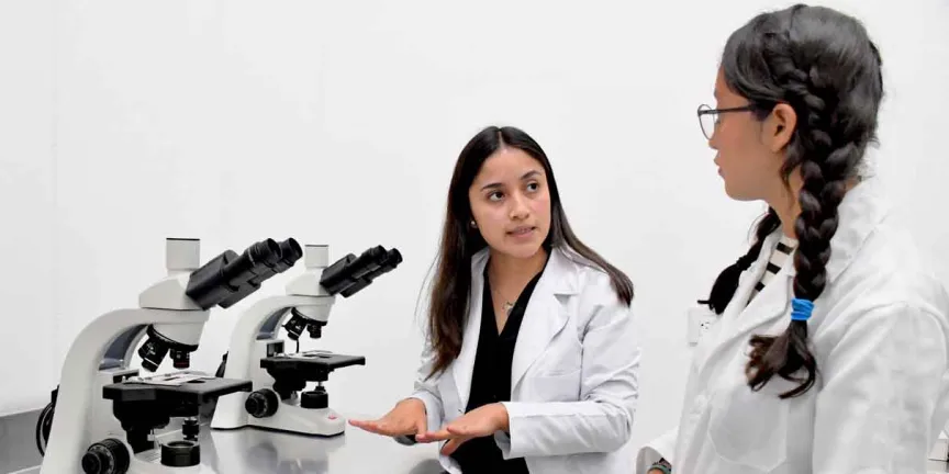 ¿Buscas universidad? Aquí puedes consultar opciones de licenciatura sin examen y sin cuotas 