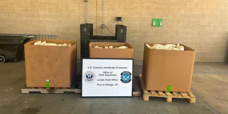Camión con apio ocultaba 760 kilos de metanfetamina rumbo a Texas