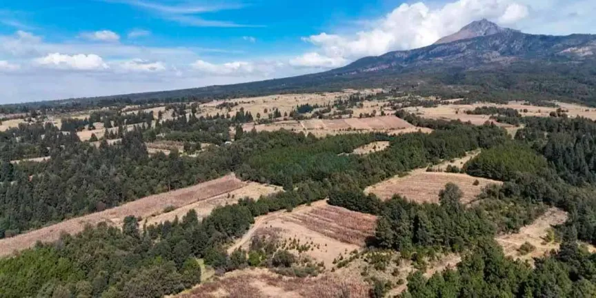 Constructores poblanos esperan fallo para participar en el Eco Parque Malinche 